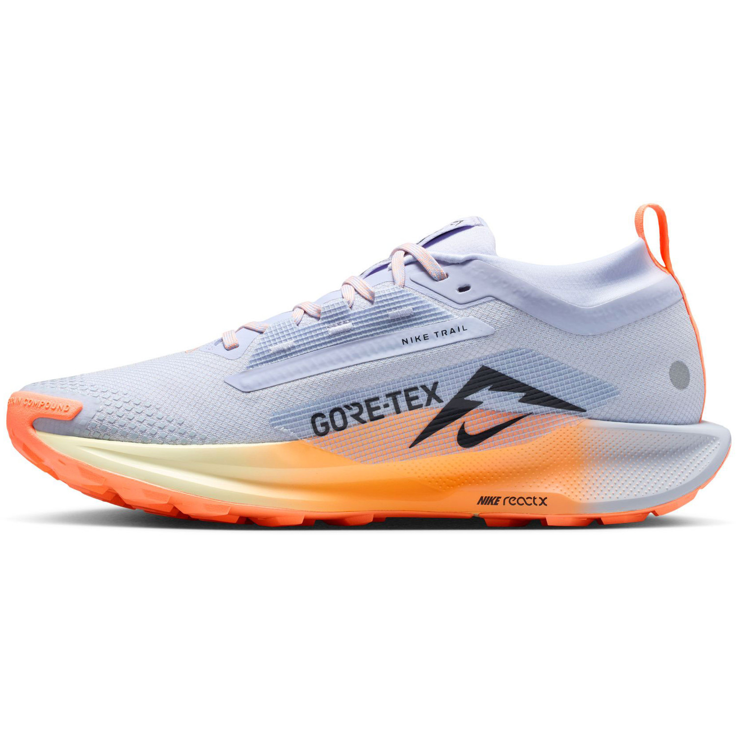 Nike Pegasus Trail 5 GTX Heren