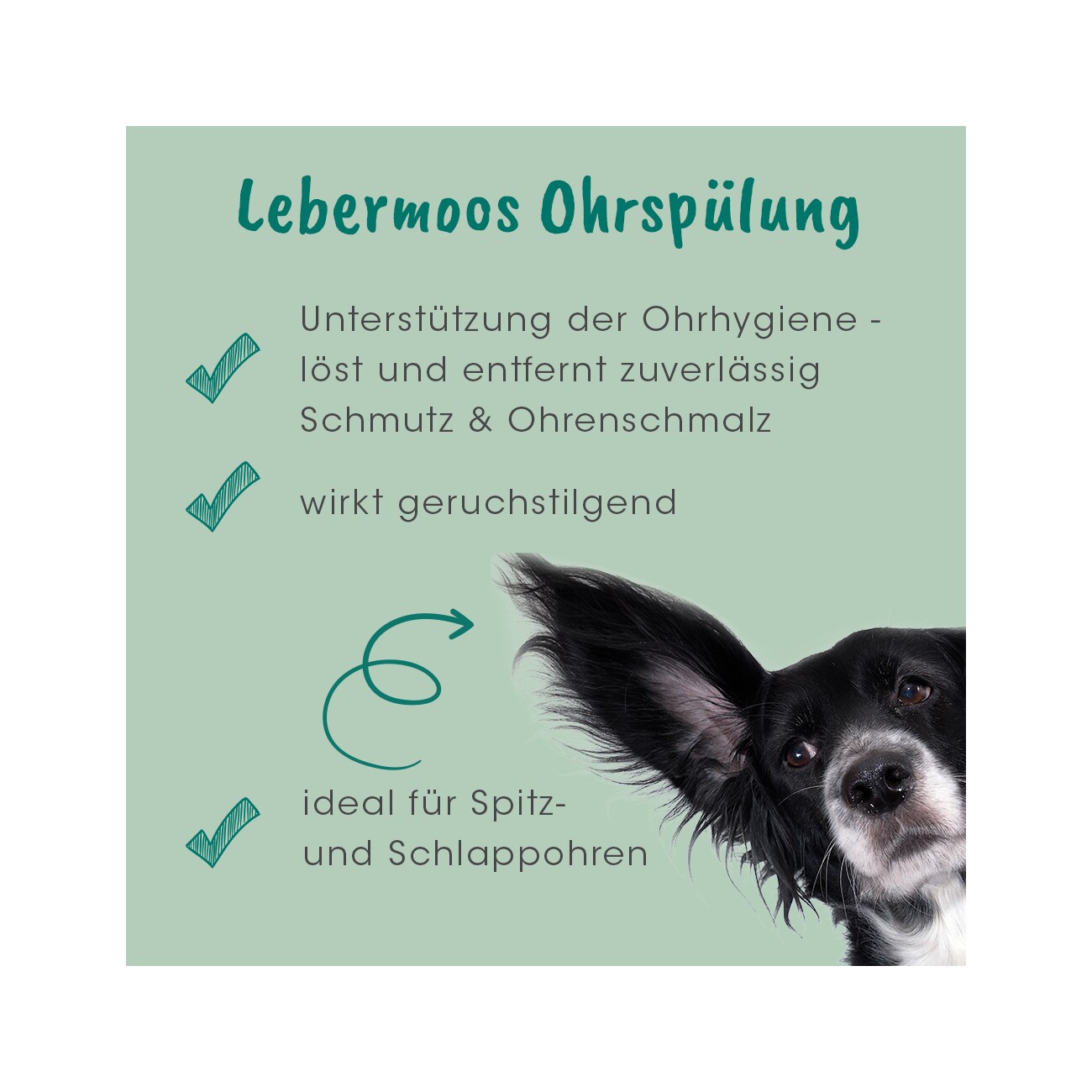 cdVet VeaVet Lebermoos Ohrenspühlung
