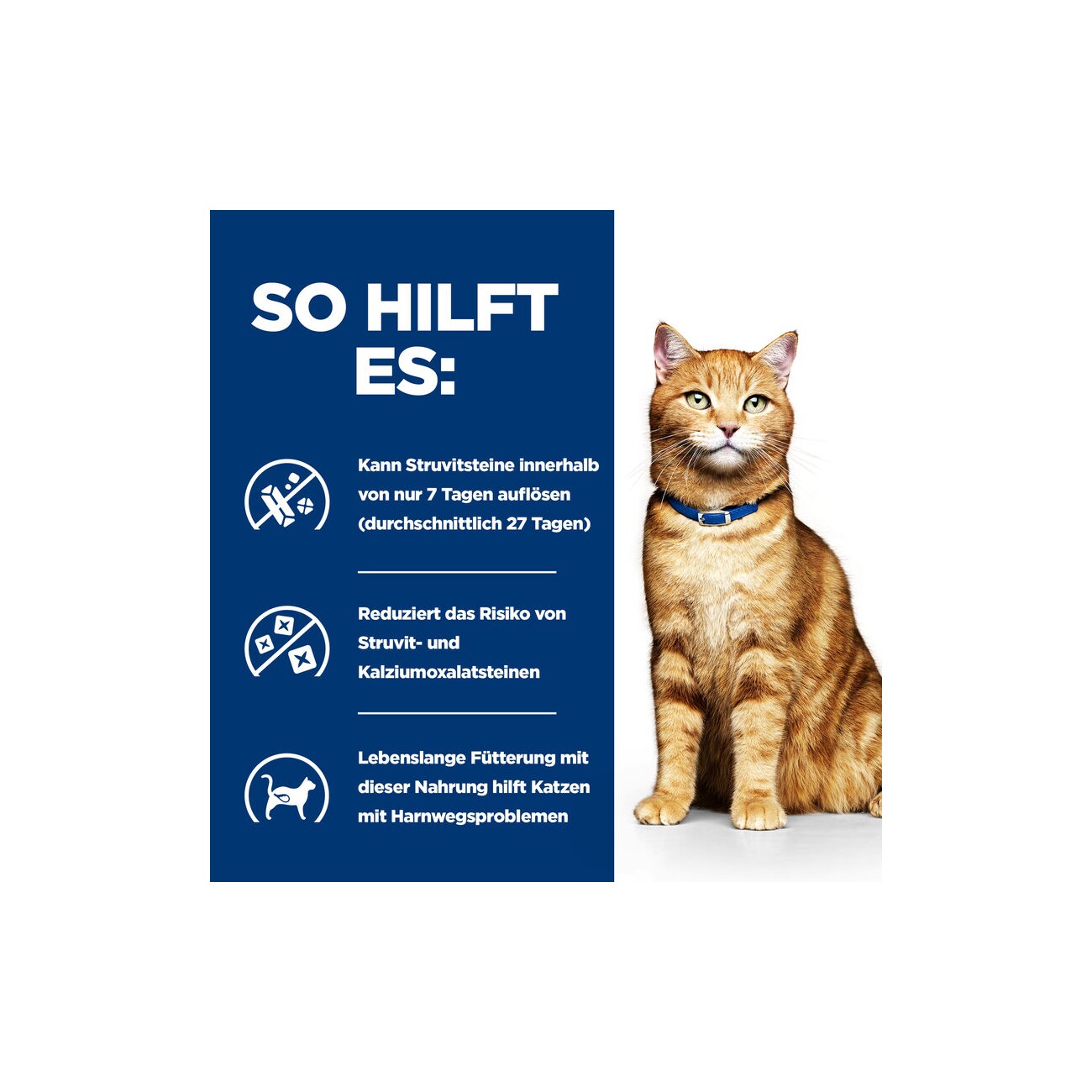 Hill's Prescription Diet Urinary Care c/d Multicare Ragout mit Huhn und Gemüse 24x82 g