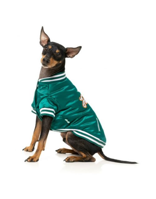 Fuzzyard Fastball Jacket Groen - Hondenkleding