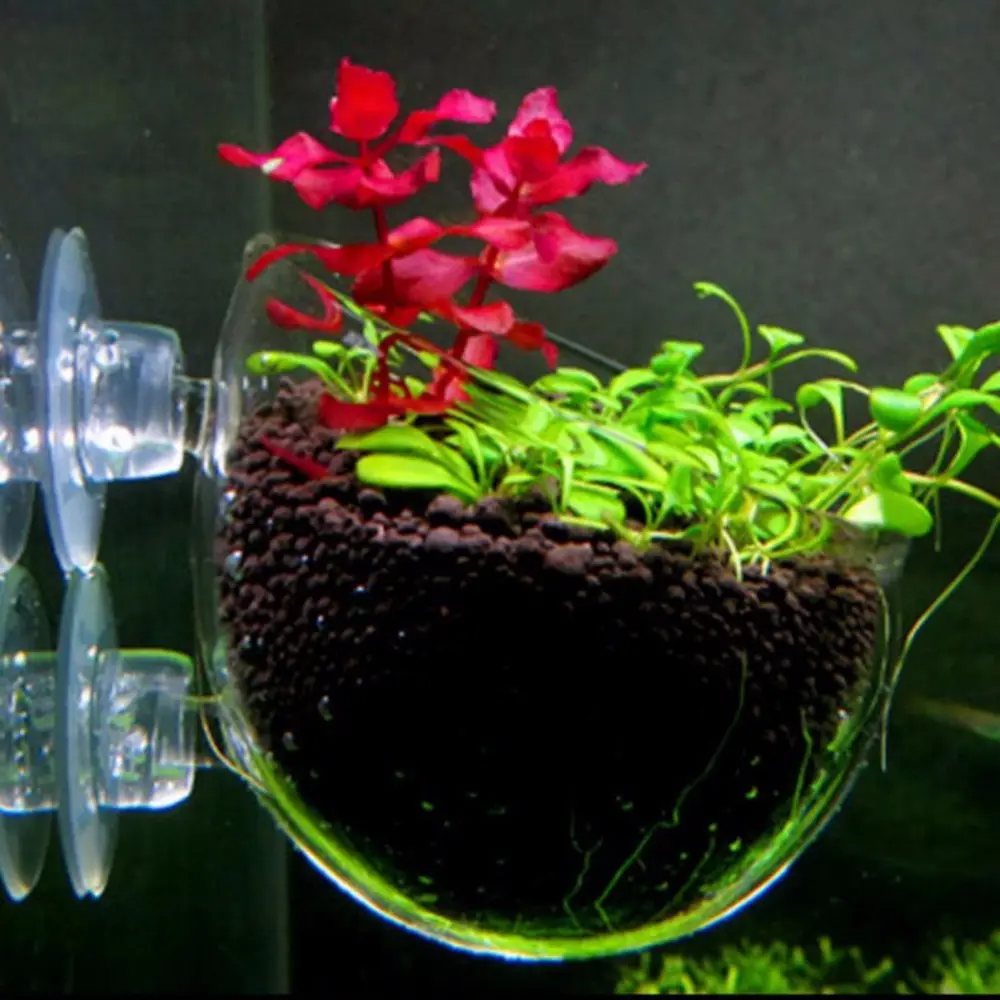 AquastoreXL Glazen Planten Pot