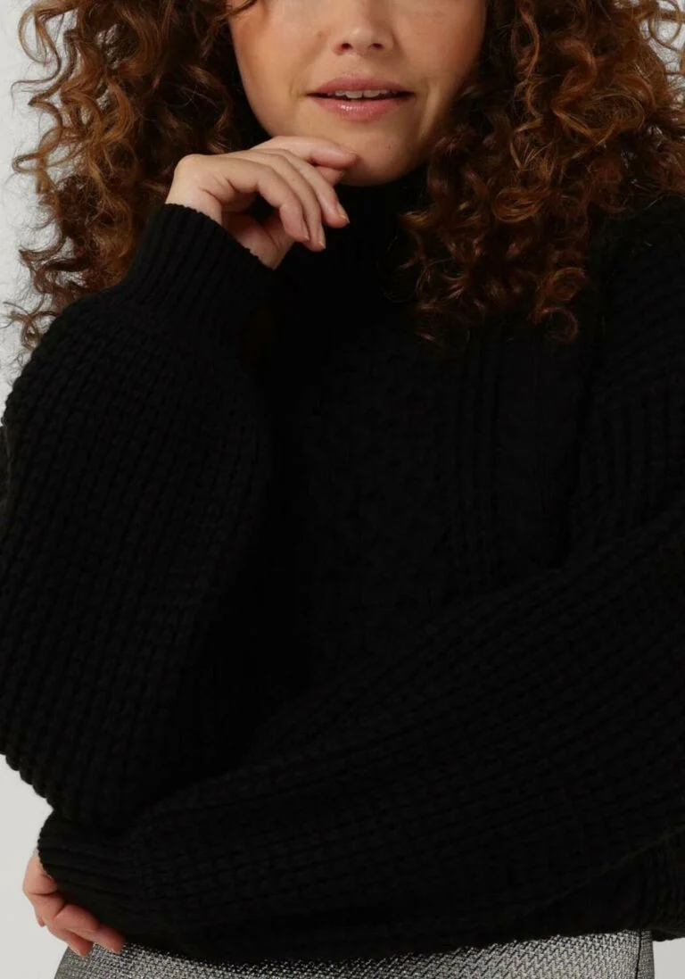 SELECTED FEMME zwarte selected femme coltrui birtha knit ls rollneck