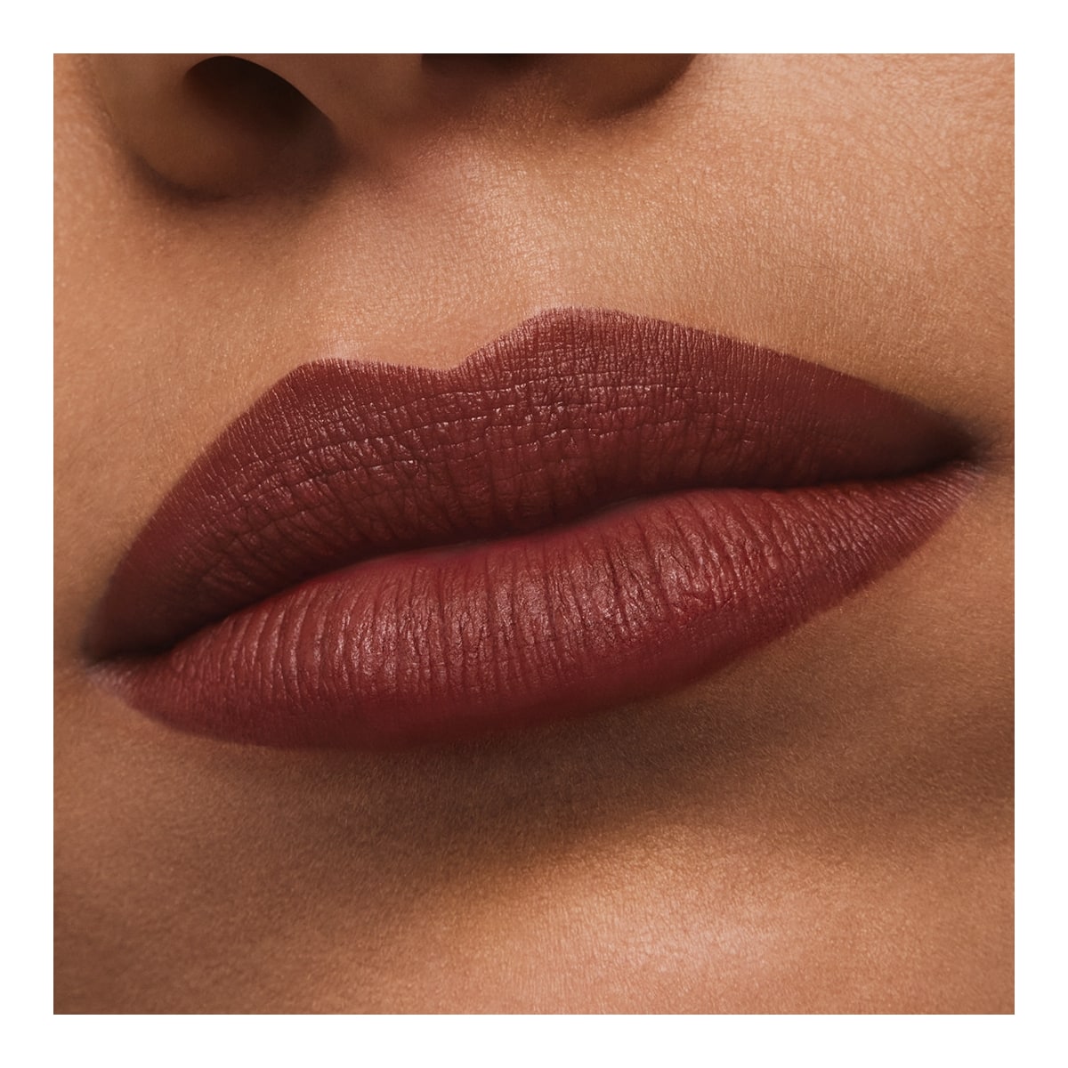 ESTEE LAUDER Pure Color Rouge à Lèvres Mat