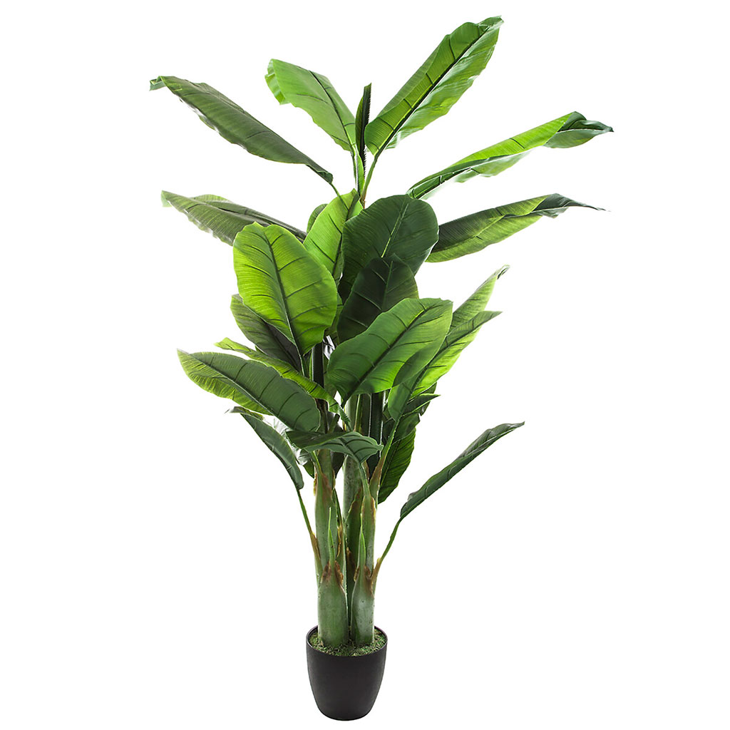 Bananier artificiel H 170cm