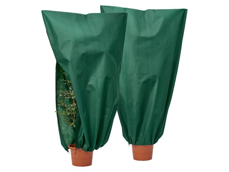 Plantenhoes tegen vorst
