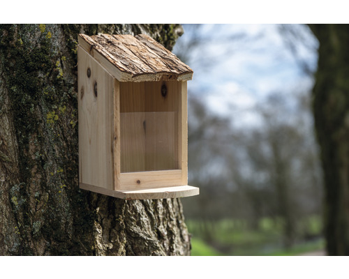 Eekhoornvoederstation dobar 115 x 168 mm bruin hout