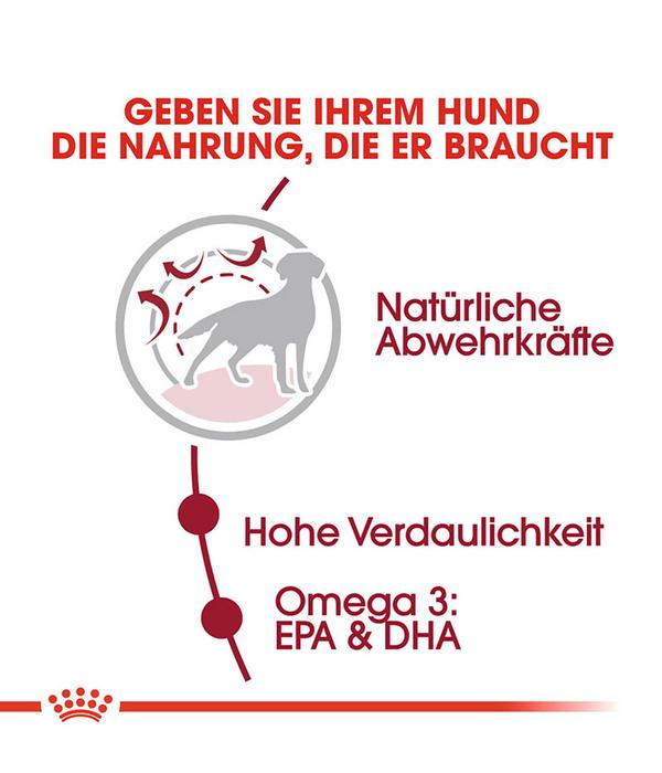 ROYAL CANIN® Trockenfutter für Hunde Medium