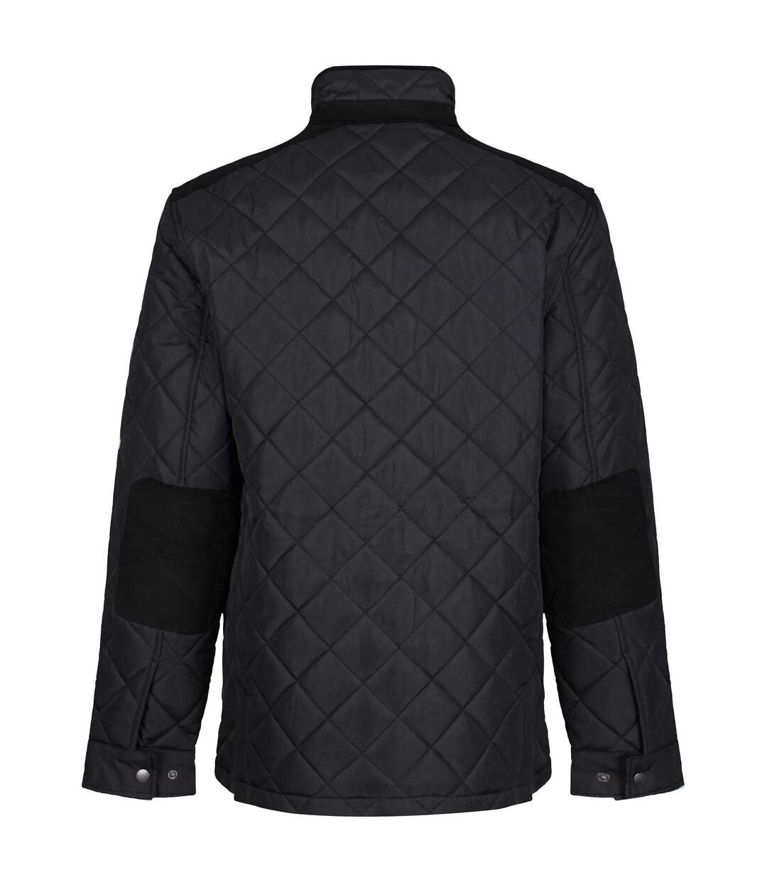 Regatta - Doudoune PADBURY - Homme (Noir) - UTRG7156