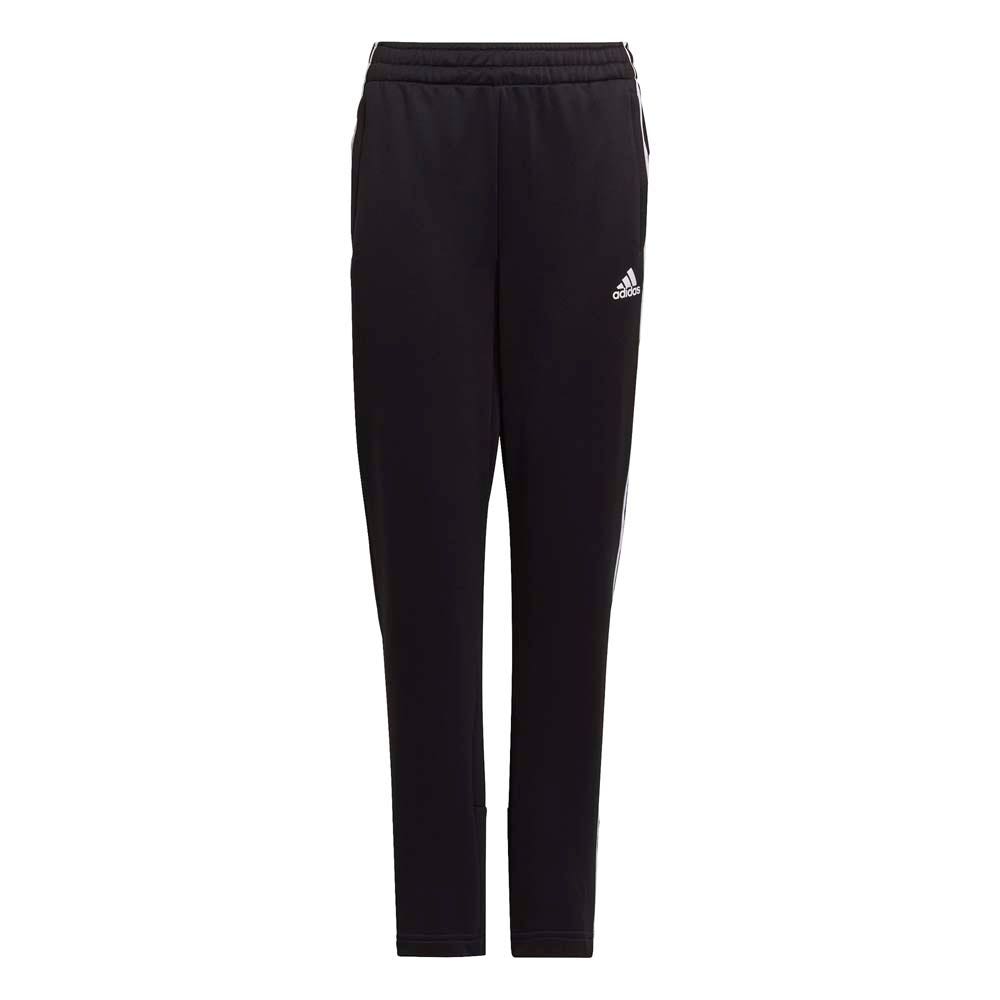 adidas  B AR 3S PANT