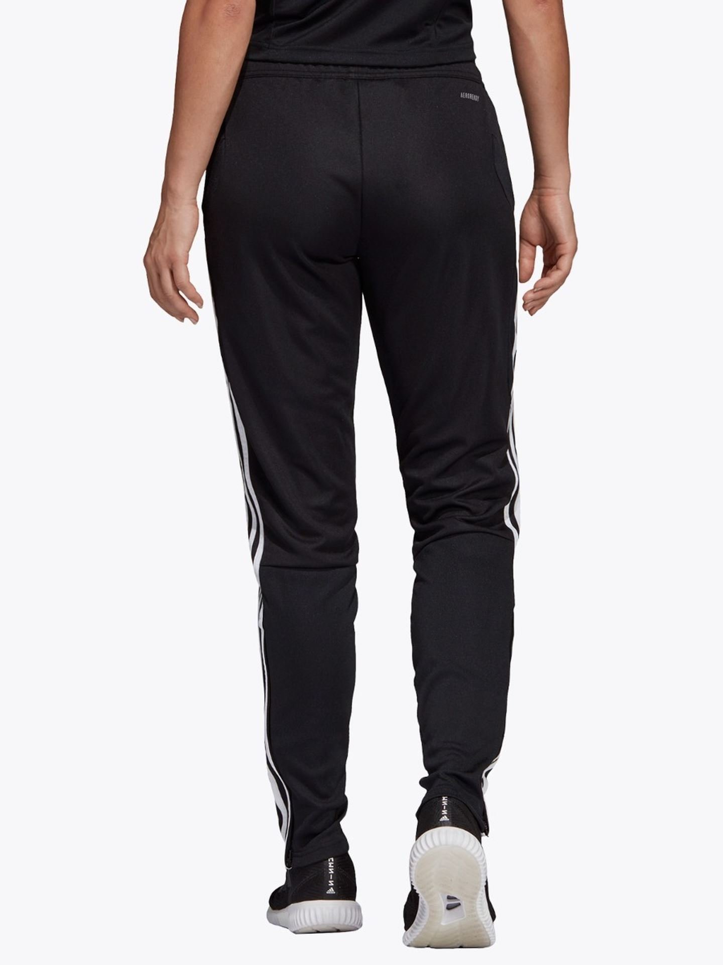 Tiro 19 Training Pant