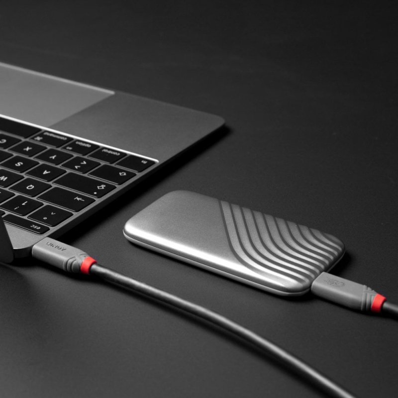 Lindy Câble USB4 Type C de 2m, 40Gbit/s, 240W PD, gamme Anthra
