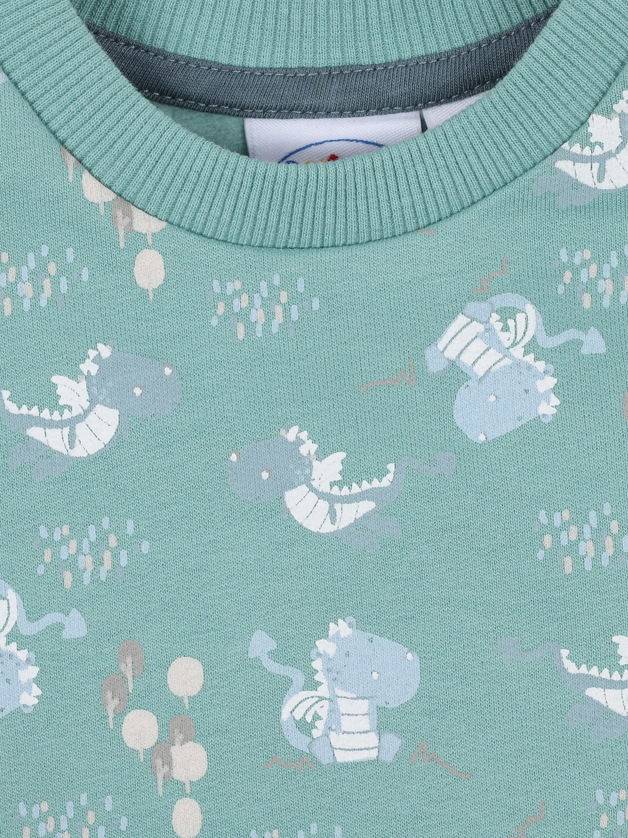 Baby Sweater mit Drachenprint