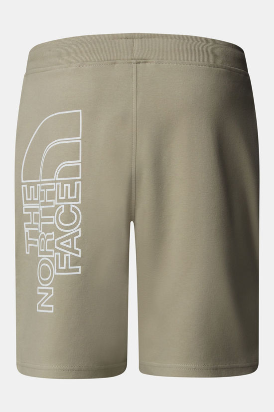 The North Face The North Face M Graphic Short Light