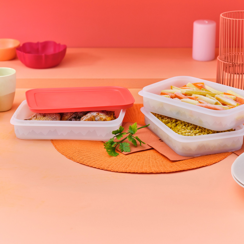 Eiskristall Stapelprofi Platzsparender Gefrierbehälter für Steaks, Schnitzel sowie Blätterteigstückchen, Stangenbohnen und vieles mehr