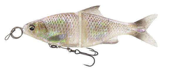 Leurre Glide Savage Gear Gardon 3D 23cm (170g)