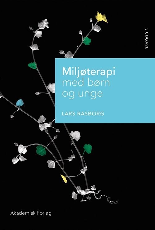 Miljøterapi Med Børn Og Unge - Lars Rasborg - Bog