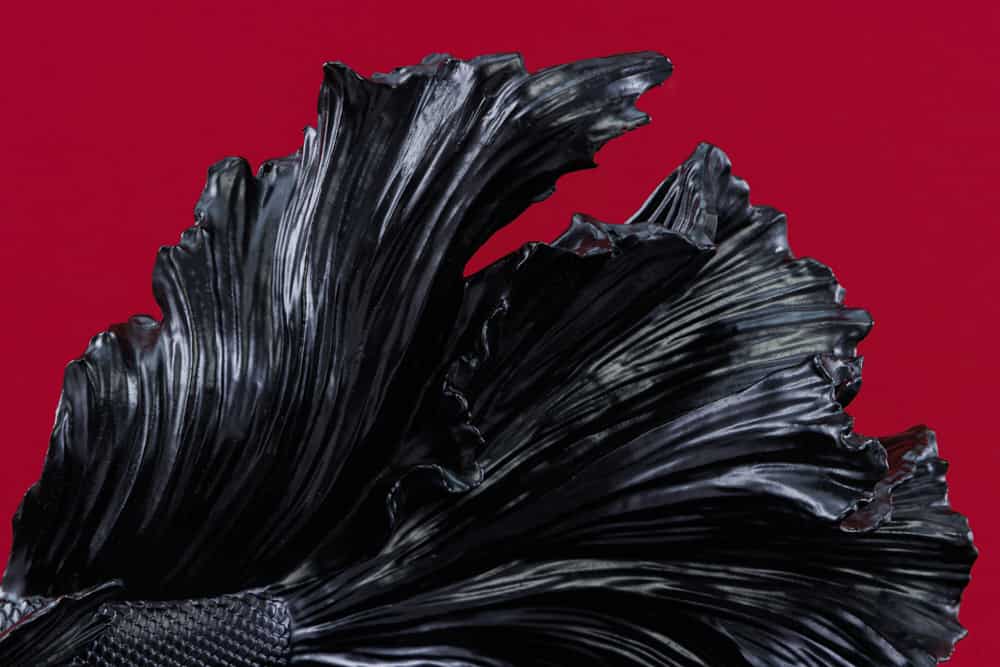 Design Deko Figur Kampffisch CROWNTAIL 35cm schwarz Betta Fisch Skulptur