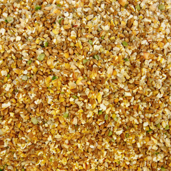 Mélange de graines pour poules - 20 kg