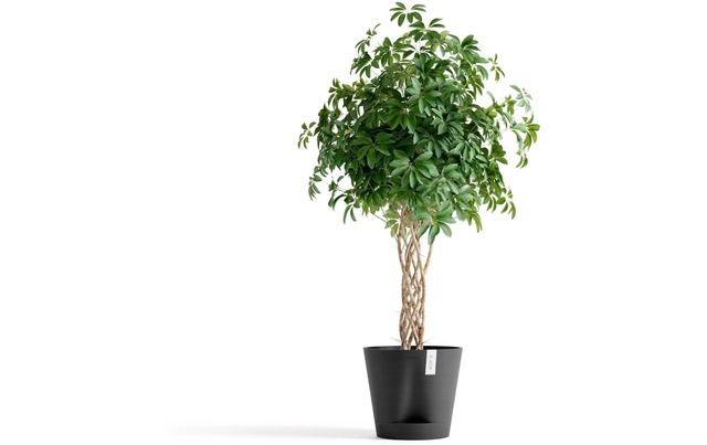 ECOPOTS Blumentopf »Venice 2 Ø 40 cm«