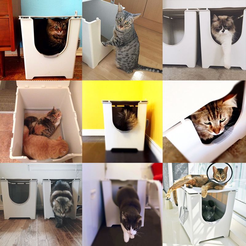 Maison de toilette Modko Flip