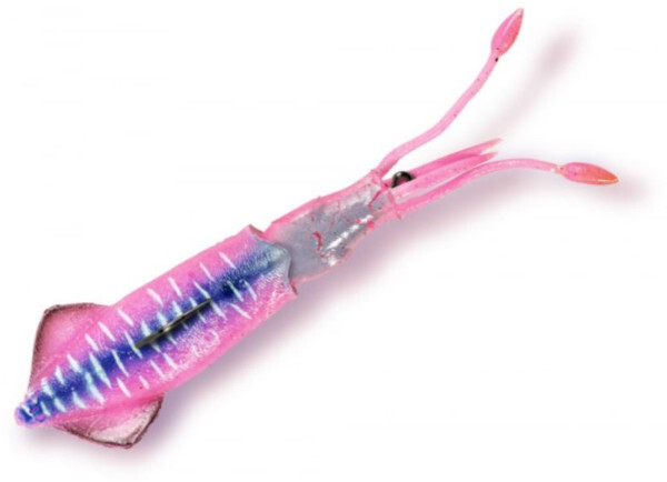 Rhino RigSquid