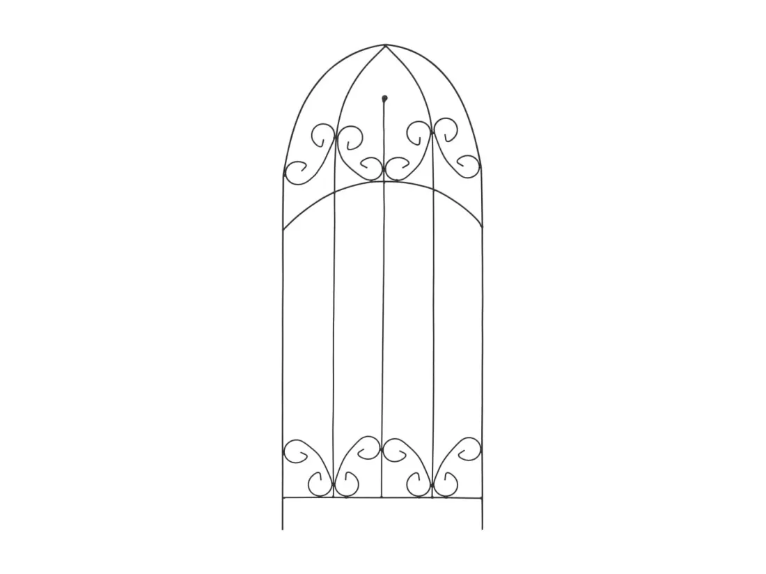 Supports pour plantes grimpantes 3 pcs Noir 40x100 cm Fer