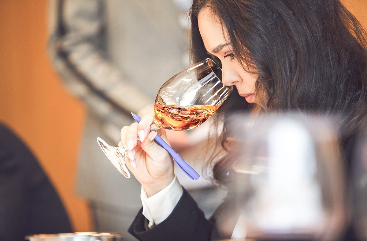 Wein und Käse Seminar Wien
