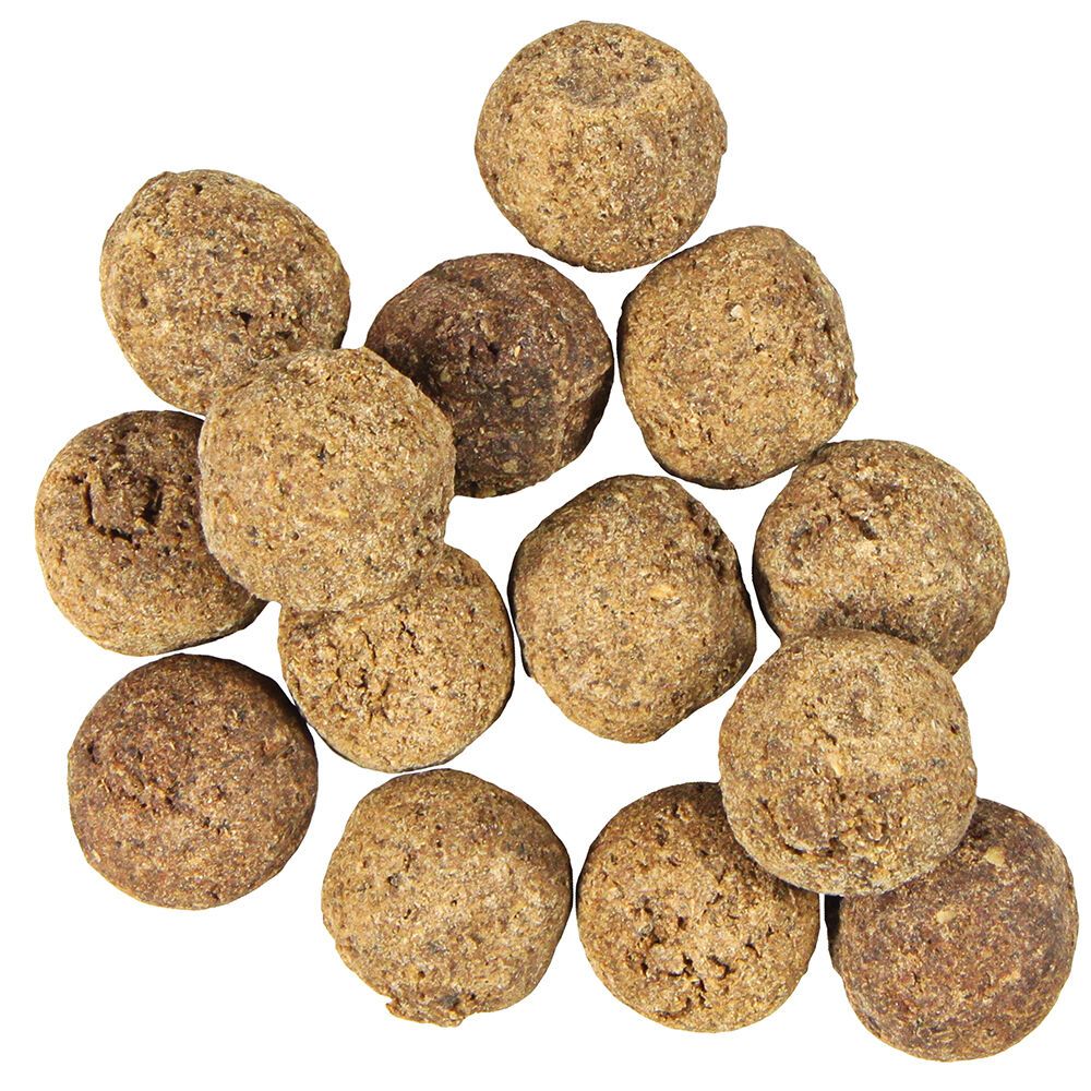 Schecker - Dog Boilies - Fisch Kartoffel  Krosse Knabberkugeln  mit Fisch
