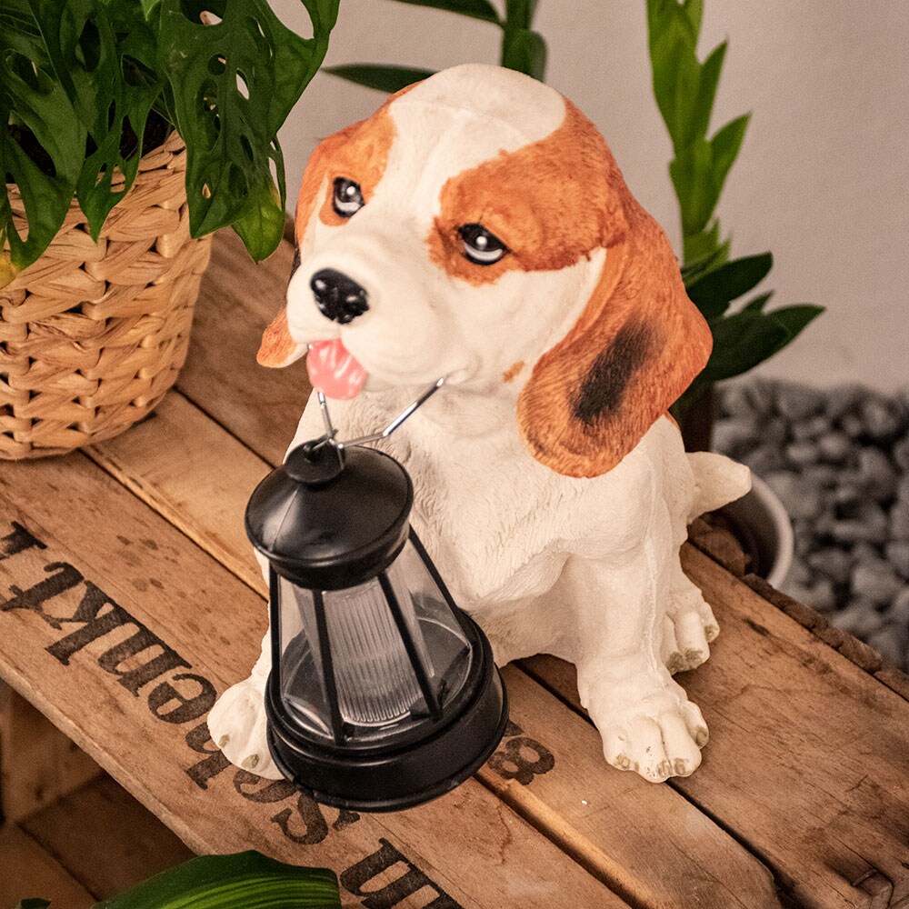 LED Solarleuchte, Hund Beagle mit Laterne, H 24 cm