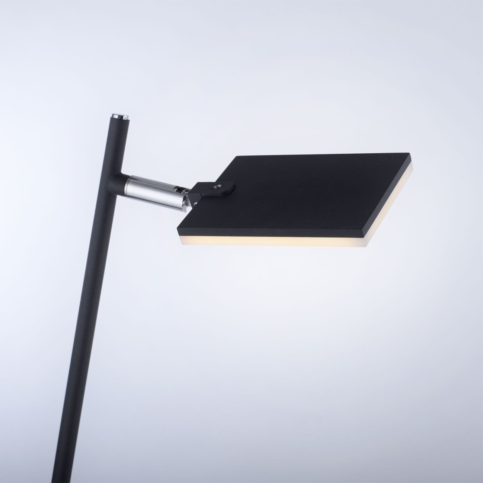 Paul Neuhaus LED Stehlampe PURE-MIRA schwarz