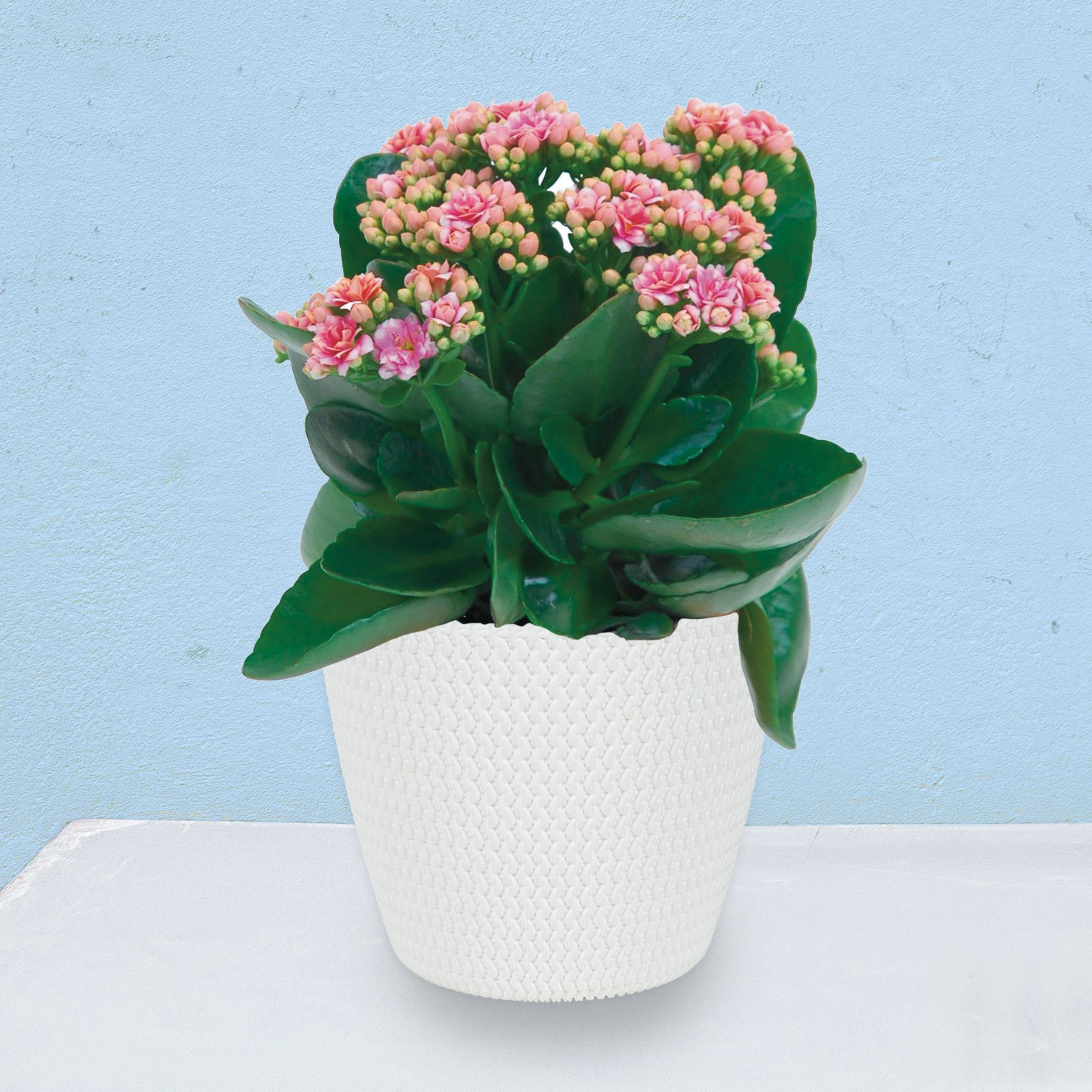 Blumentopf Splofy 26x22cm Weiß