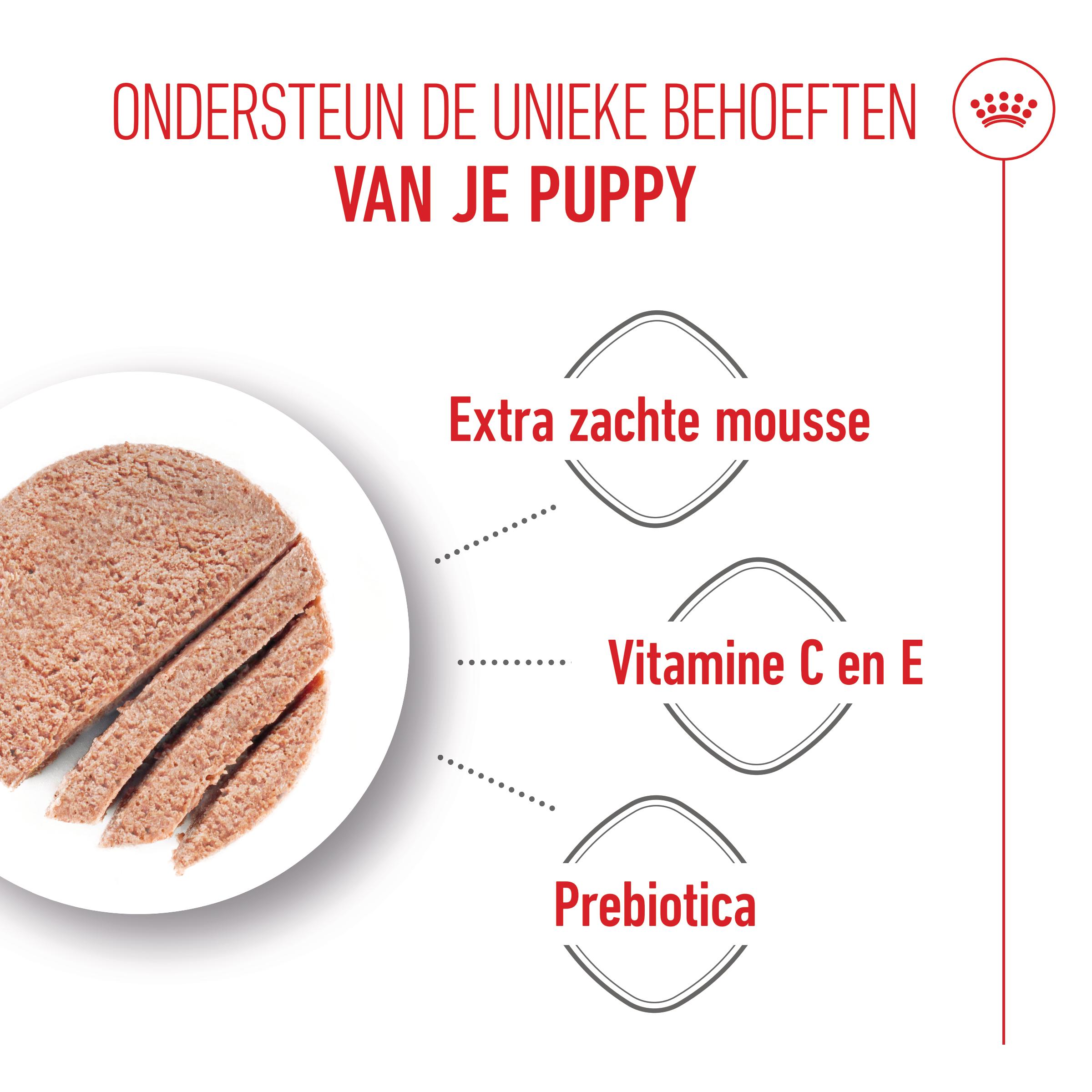 Royal Canin Starter Mousse Mother & Babydog - Hondenvoer
