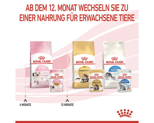 ROYAL CANIN Kitten natvoer voor katten in gelei 85g