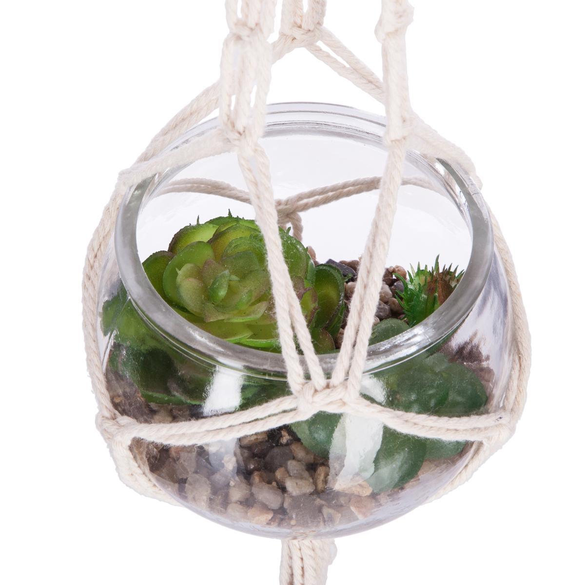 PLANTE A SUSPENDRE VERRE NOMADE D.10CM