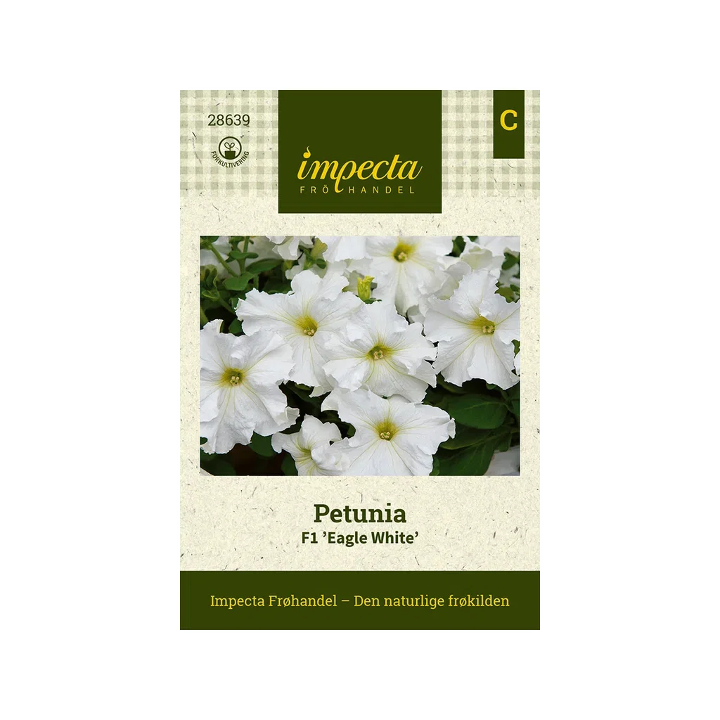 Petunia hybrida grandiflora F1 'Eagle White' Petunia F1 'Eagle White'
