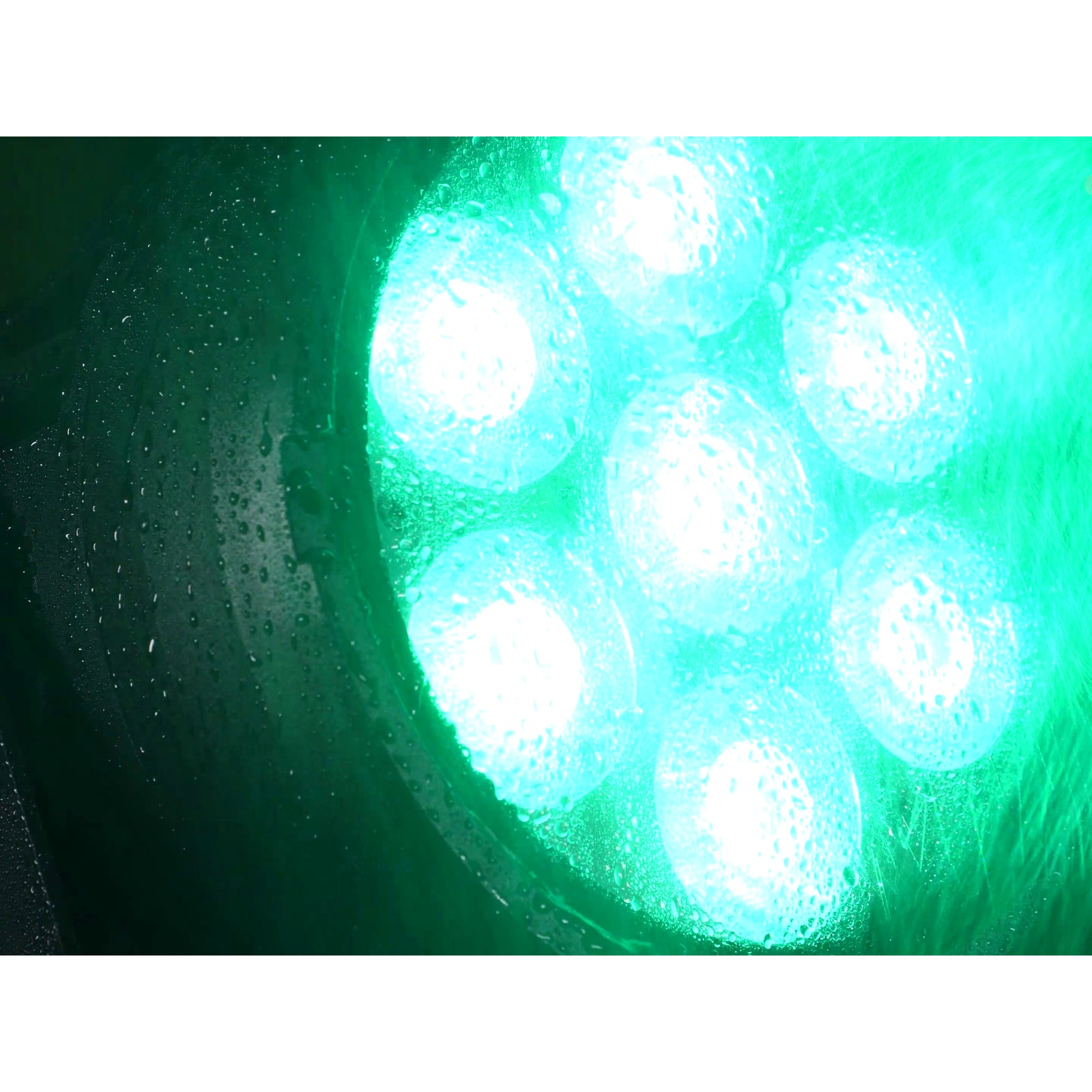 Eurolite LED IP PAR 7x10W RGBL spot
