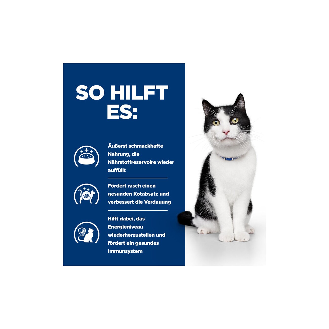 Hill's Prescription Diet i/d Ragout für Katzen, Adult, mit Huhn und zugefügtem Gemüse zur Unterstützung der Verdauung 24x82 g