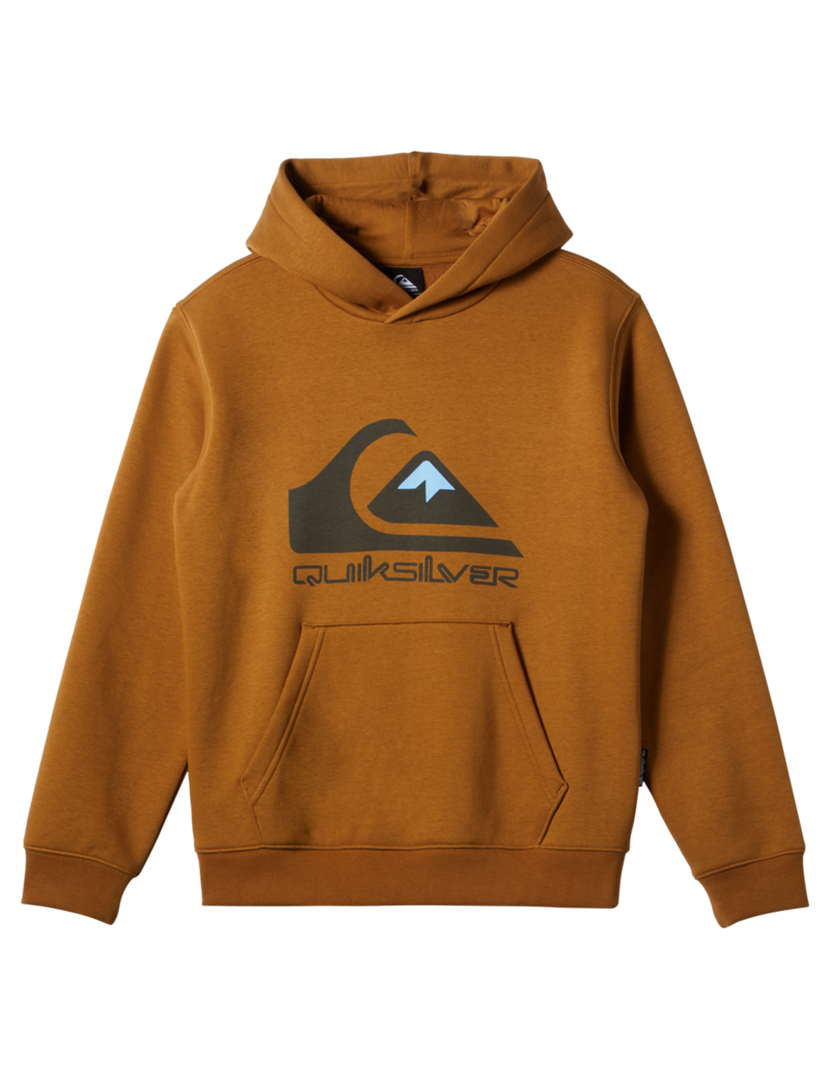 Brown Sweatshirt Boy