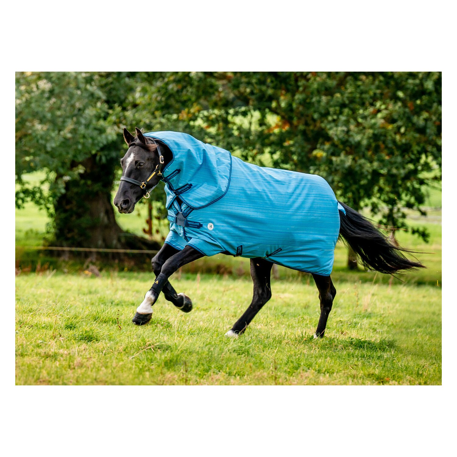 HORSEWARE Outdoordecke AMIGO Hero 900 Revieve plus 50 g - oceanblue