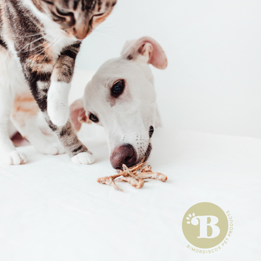 BIMORBOX Gold Ocean - Pacote de Petiscos e Frutos do Mar para Cães