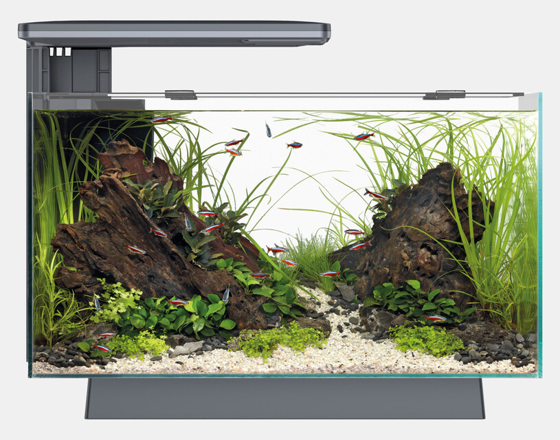 Superfish Aquarium Quadro 40 Pro Zwart   toebehoren