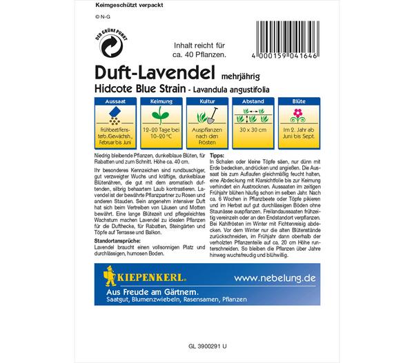 Kiepenkerl Saatgut Duft-Lavendel 'Hidcote Blue
