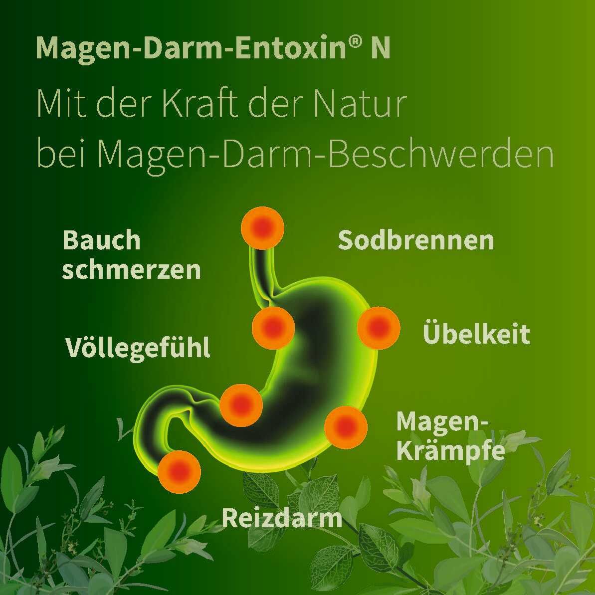 Magen-Darm-Entoxin® N Tropfen