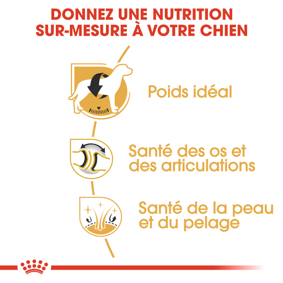 Croquettes chien Labrador Adulte plus de 15 mois 12kg
