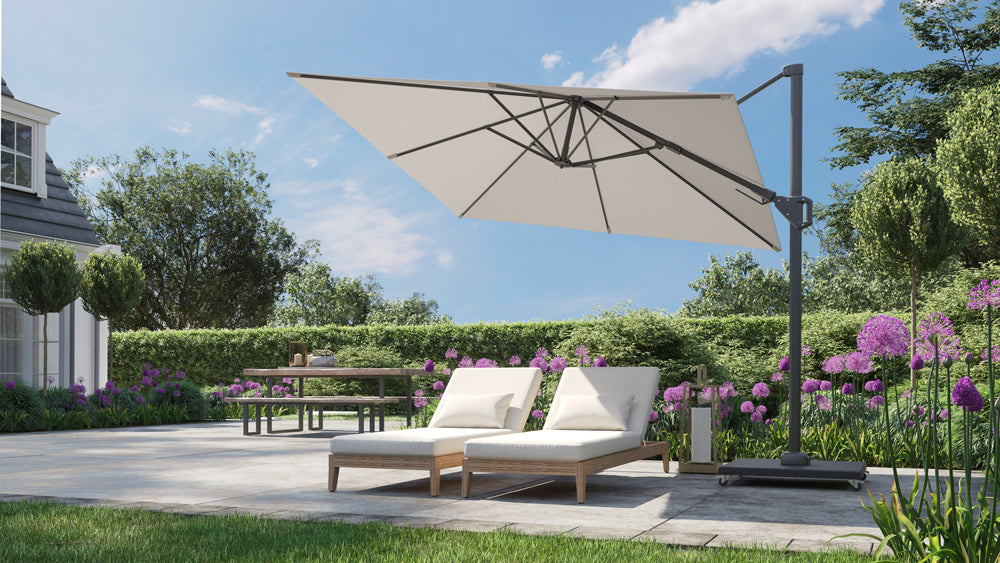 parasol