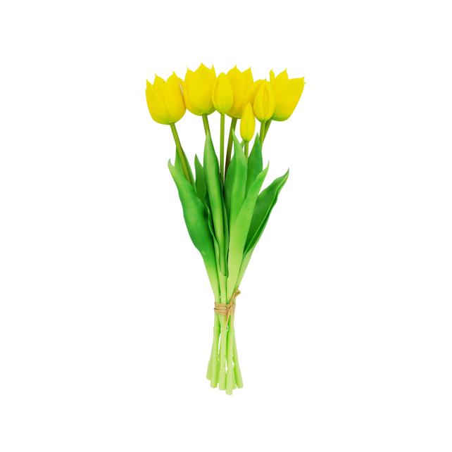 Set de 7 tulipes ouvertes - Tulipes