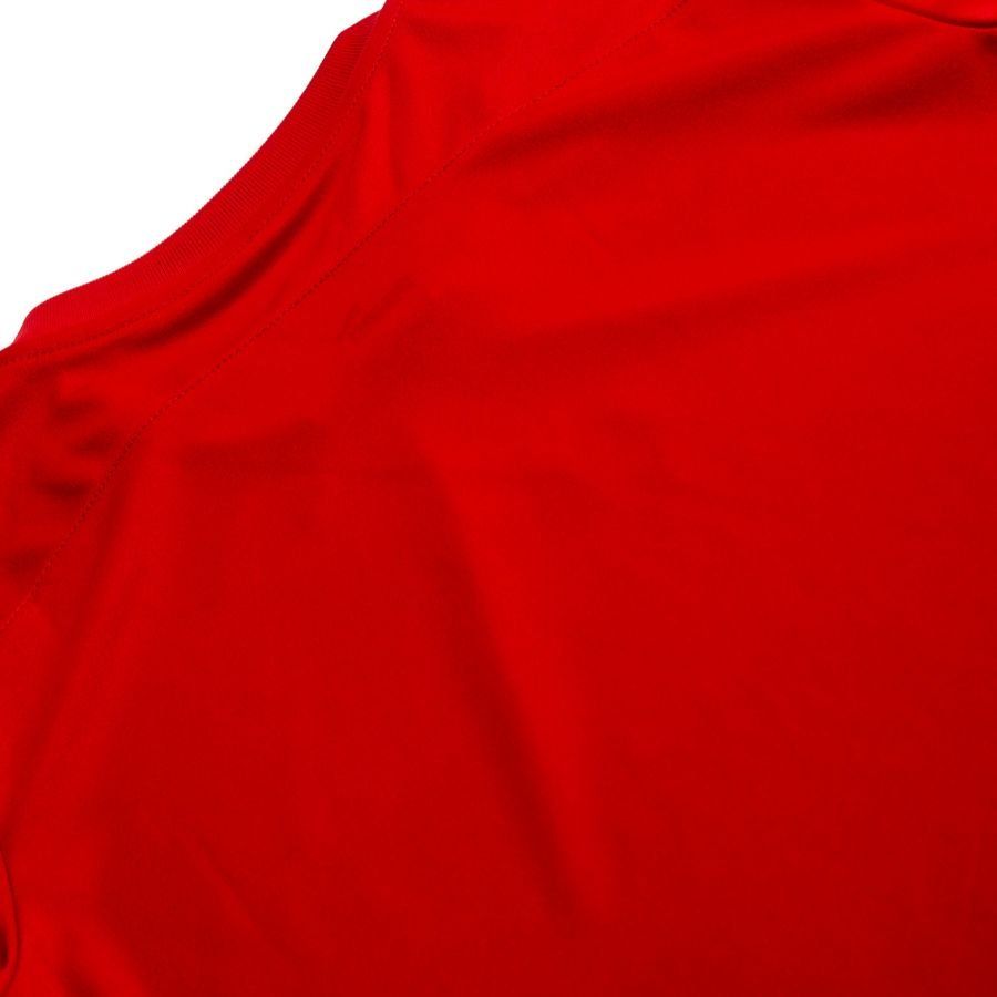 PUMA Maillot teamFINAL 21 Graphic - Rouge/Rouge Enfant