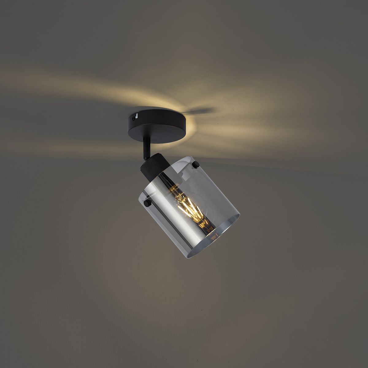 Design wandspot zwart met smoke glas - Domo