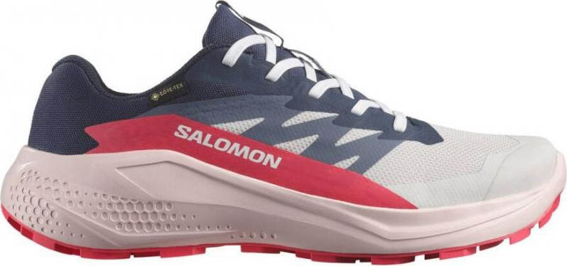 Alphaglide GTX Dame Lunar Rock/Blue Nights/Rou