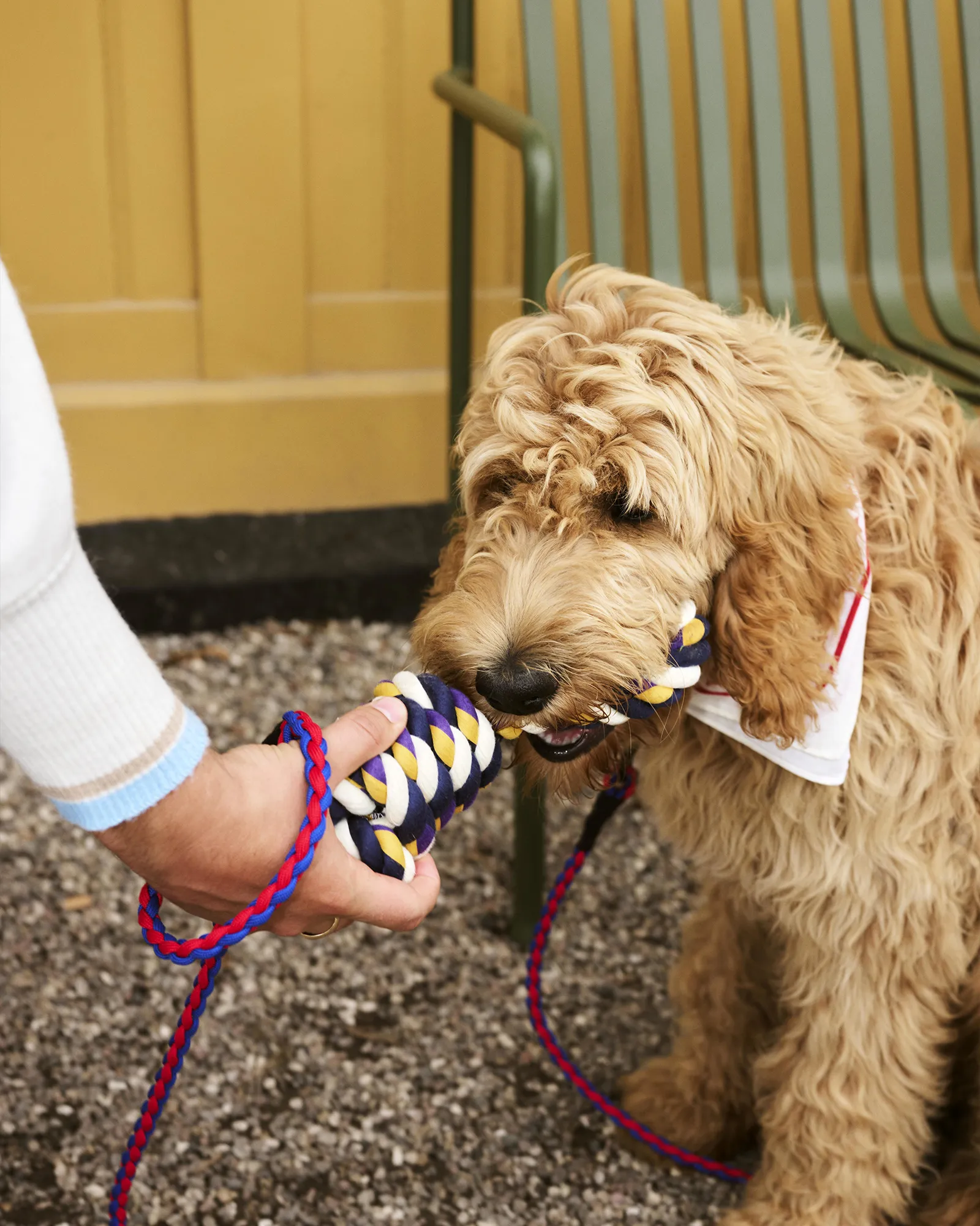 HAY HAY Dogs Rope Toy